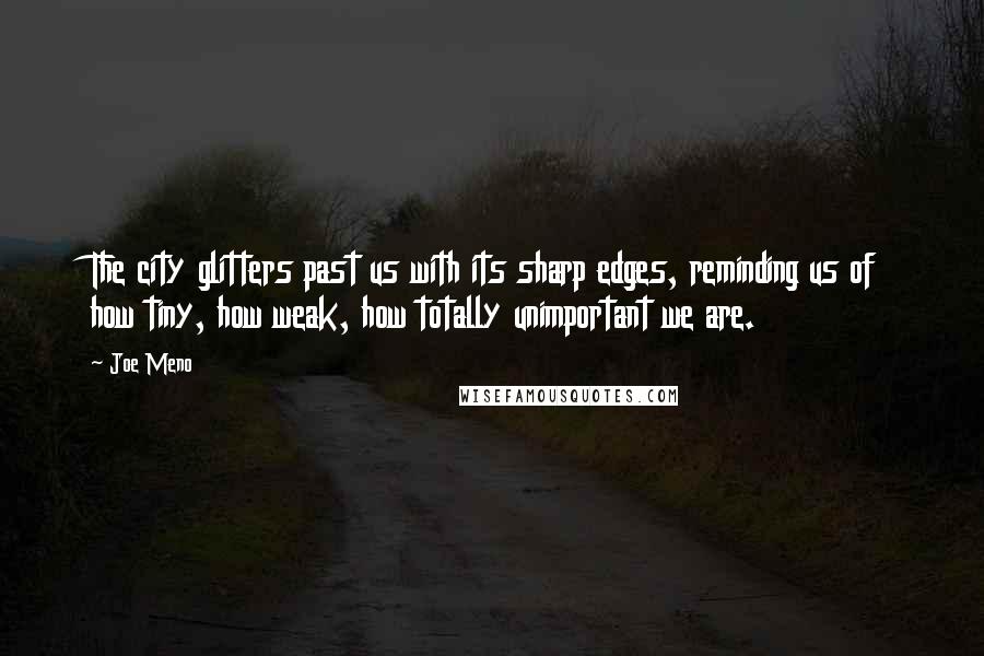 Joe Meno Quotes: The city glitters past us with its sharp edges, reminding us of how tiny, how weak, how totally unimportant we are.