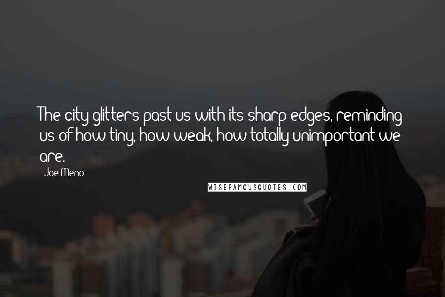 Joe Meno Quotes: The city glitters past us with its sharp edges, reminding us of how tiny, how weak, how totally unimportant we are.