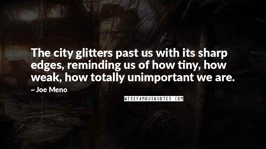 Joe Meno Quotes: The city glitters past us with its sharp edges, reminding us of how tiny, how weak, how totally unimportant we are.