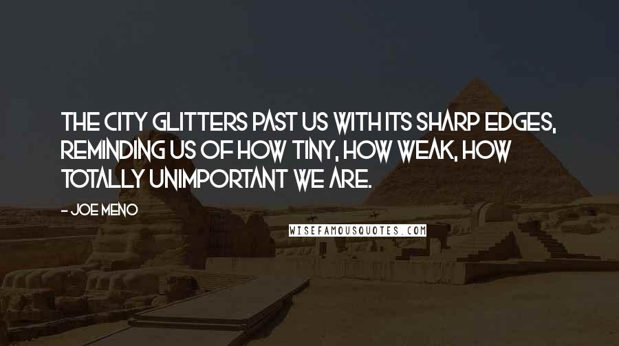 Joe Meno Quotes: The city glitters past us with its sharp edges, reminding us of how tiny, how weak, how totally unimportant we are.