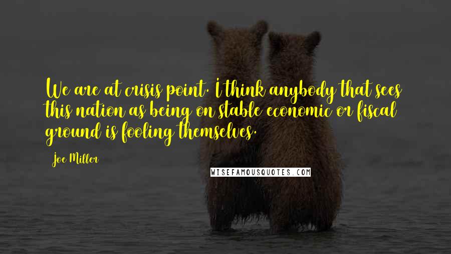 Joe Miller Quotes: We are at crisis point. I think anybody that sees this nation as being on stable economic or fiscal ground is fooling themselves.