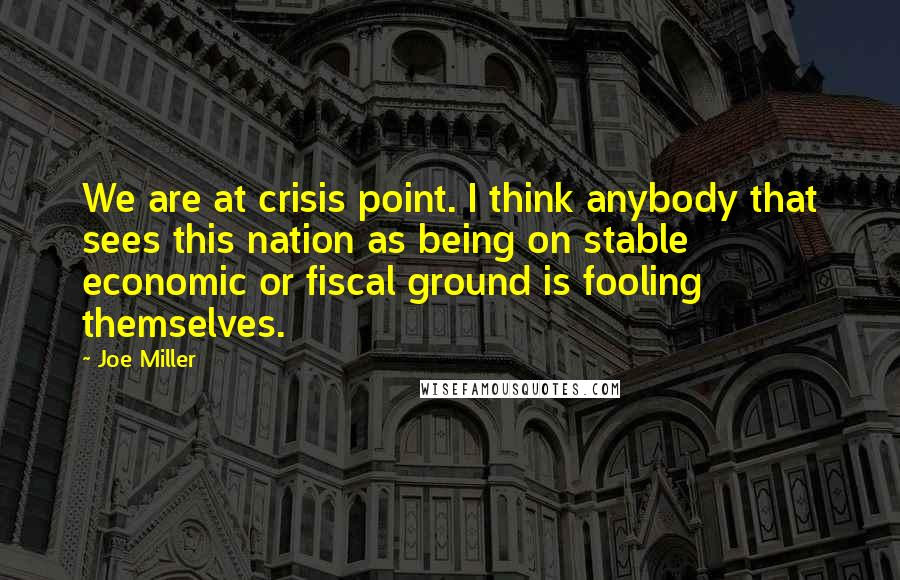 Joe Miller Quotes: We are at crisis point. I think anybody that sees this nation as being on stable economic or fiscal ground is fooling themselves.