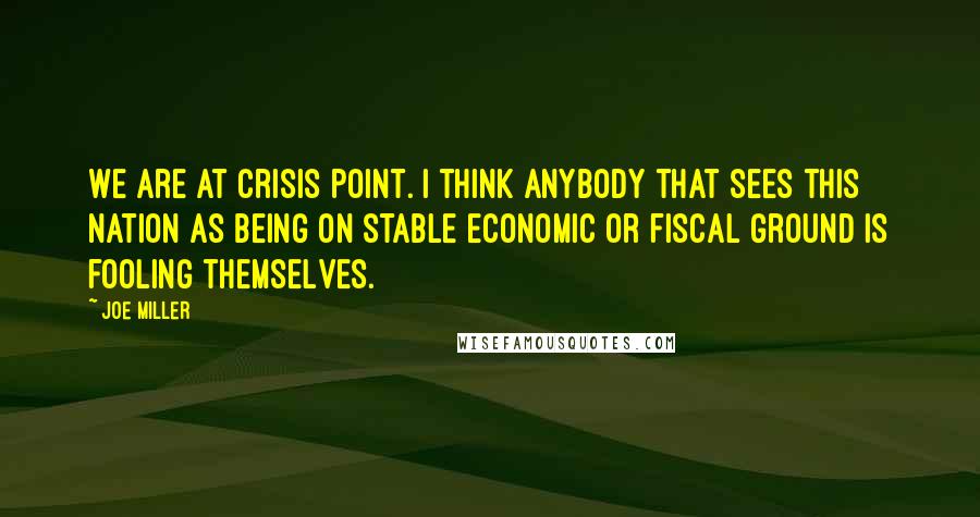 Joe Miller Quotes: We are at crisis point. I think anybody that sees this nation as being on stable economic or fiscal ground is fooling themselves.