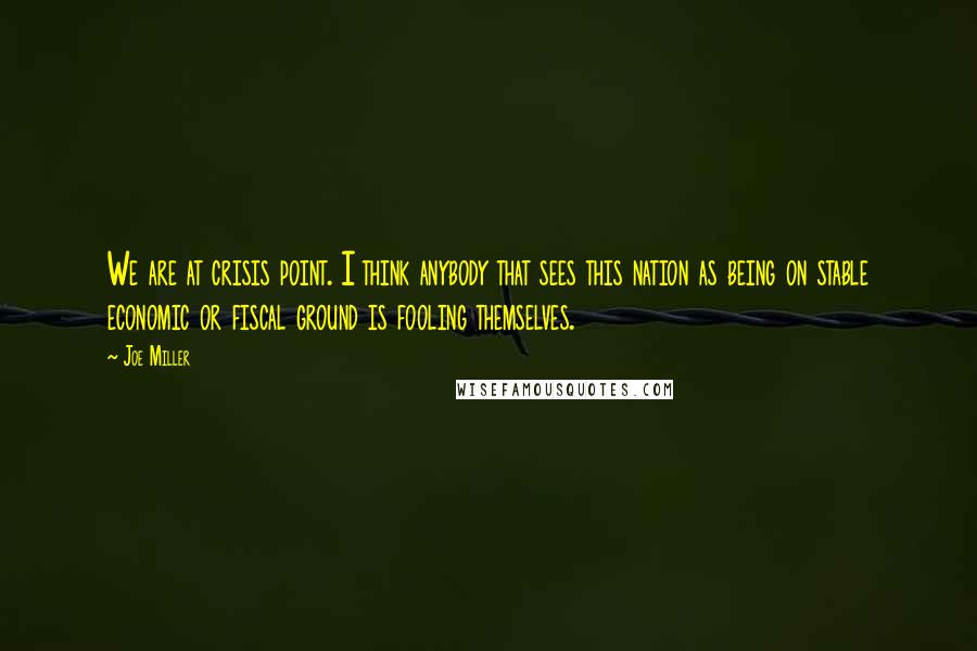 Joe Miller Quotes: We are at crisis point. I think anybody that sees this nation as being on stable economic or fiscal ground is fooling themselves.