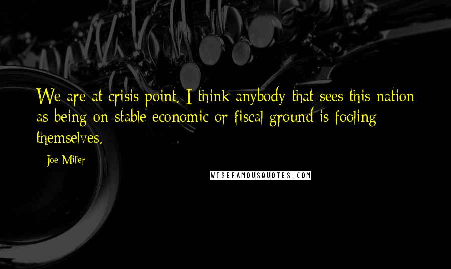 Joe Miller Quotes: We are at crisis point. I think anybody that sees this nation as being on stable economic or fiscal ground is fooling themselves.