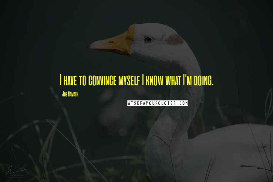 Joe Namath Quotes: I have to convince myself I know what I'm doing.