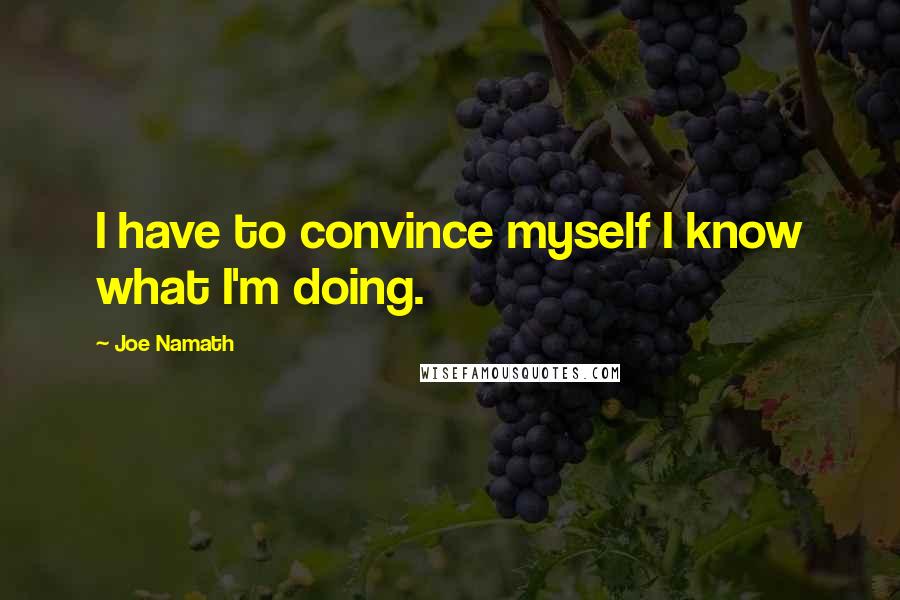 Joe Namath Quotes: I have to convince myself I know what I'm doing.