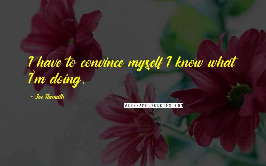 Joe Namath Quotes: I have to convince myself I know what I'm doing.