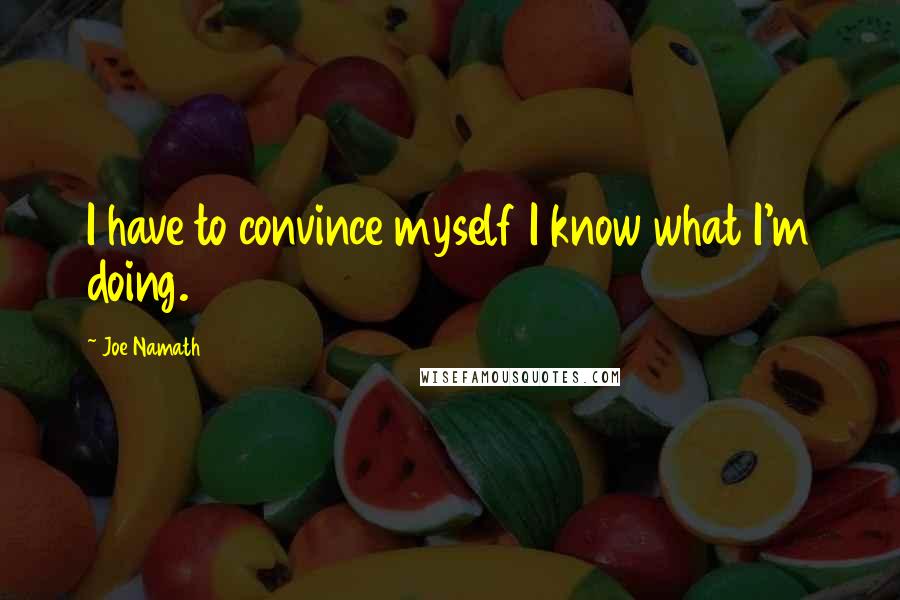 Joe Namath Quotes: I have to convince myself I know what I'm doing.