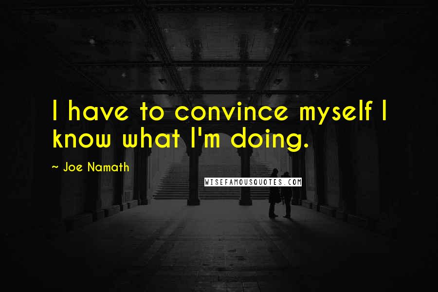 Joe Namath Quotes: I have to convince myself I know what I'm doing.