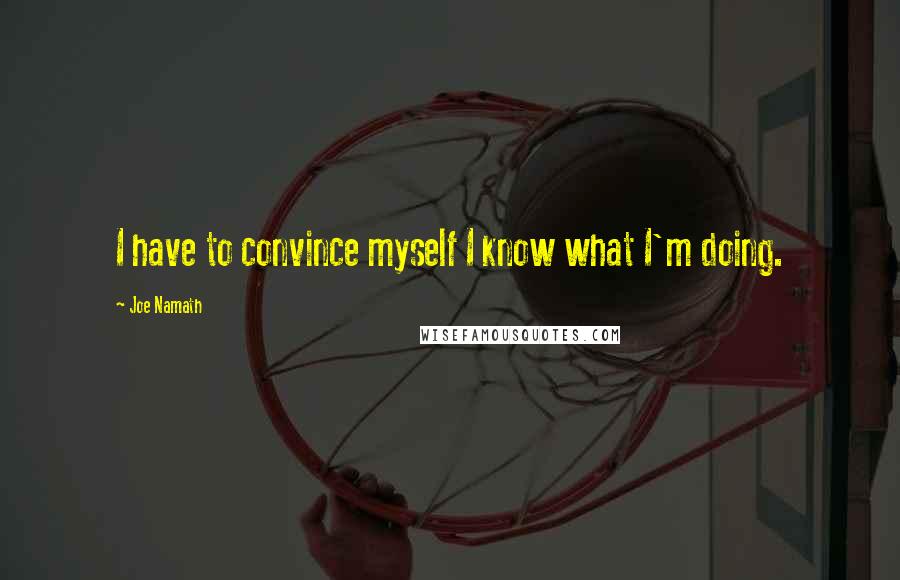 Joe Namath Quotes: I have to convince myself I know what I'm doing.