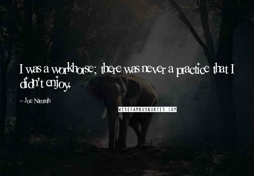 Joe Namath Quotes: I was a workhorse; there was never a practice that I didn't enjoy.