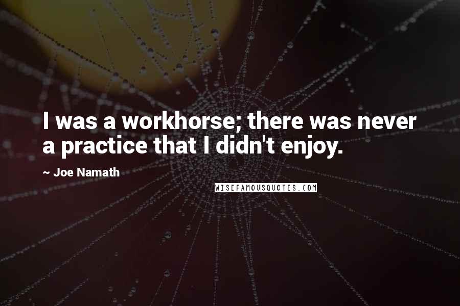 Joe Namath Quotes: I was a workhorse; there was never a practice that I didn't enjoy.