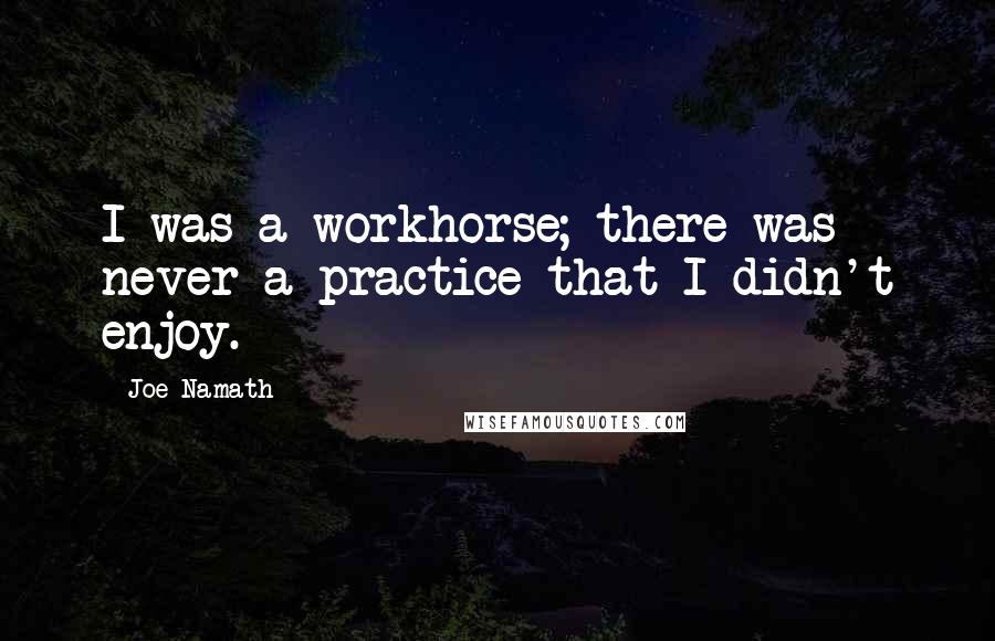 Joe Namath Quotes: I was a workhorse; there was never a practice that I didn't enjoy.