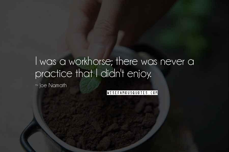 Joe Namath Quotes: I was a workhorse; there was never a practice that I didn't enjoy.