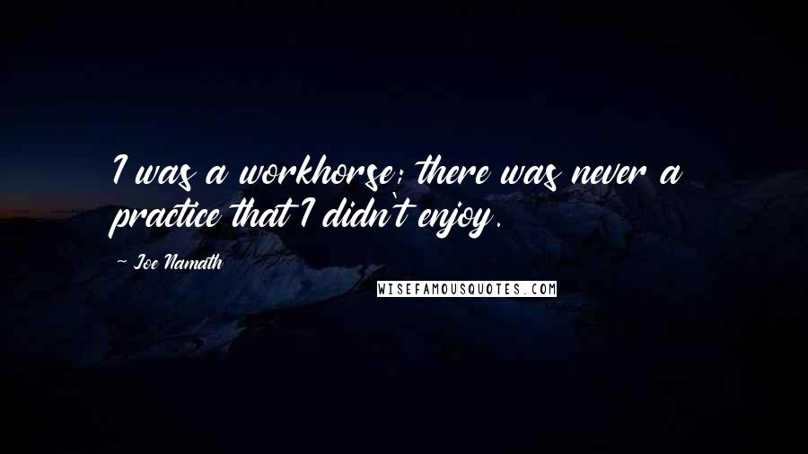 Joe Namath Quotes: I was a workhorse; there was never a practice that I didn't enjoy.