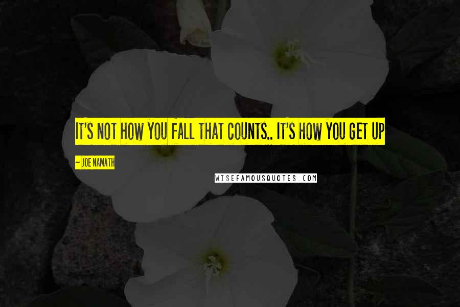 Joe Namath Quotes: It's not how you fall that counts.. It's how you get up