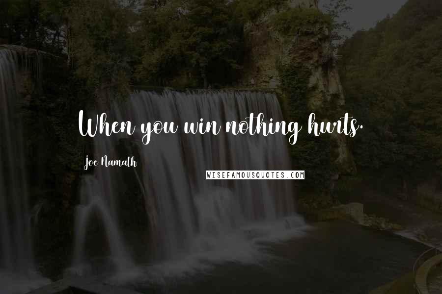 Joe Namath Quotes: When you win nothing hurts.