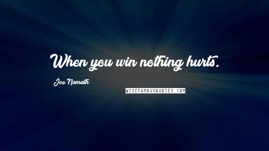 Joe Namath Quotes: When you win nothing hurts.