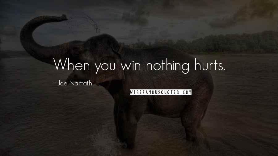 Joe Namath Quotes: When you win nothing hurts.