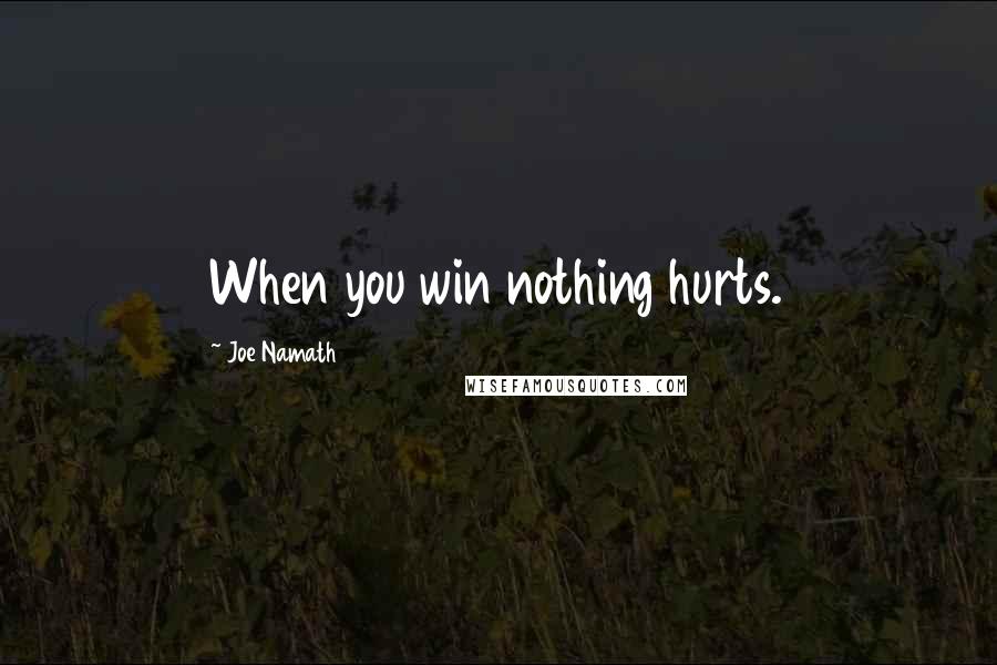 Joe Namath Quotes: When you win nothing hurts.