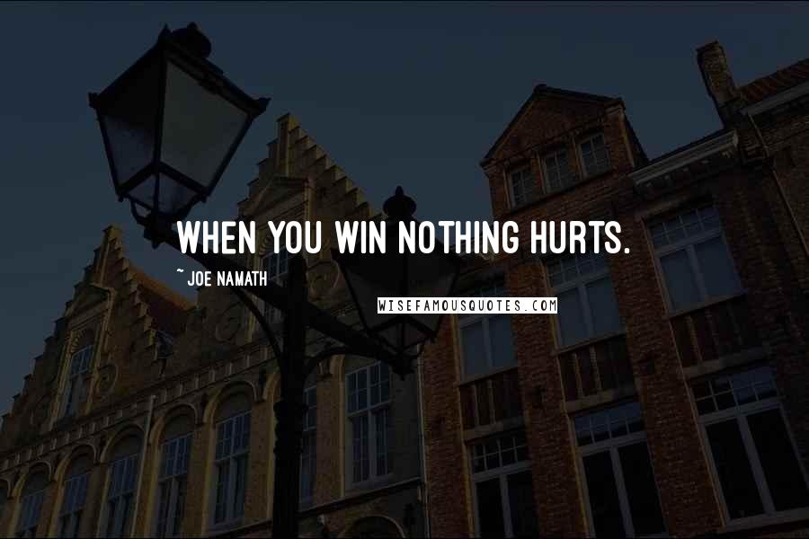 Joe Namath Quotes: When you win nothing hurts.