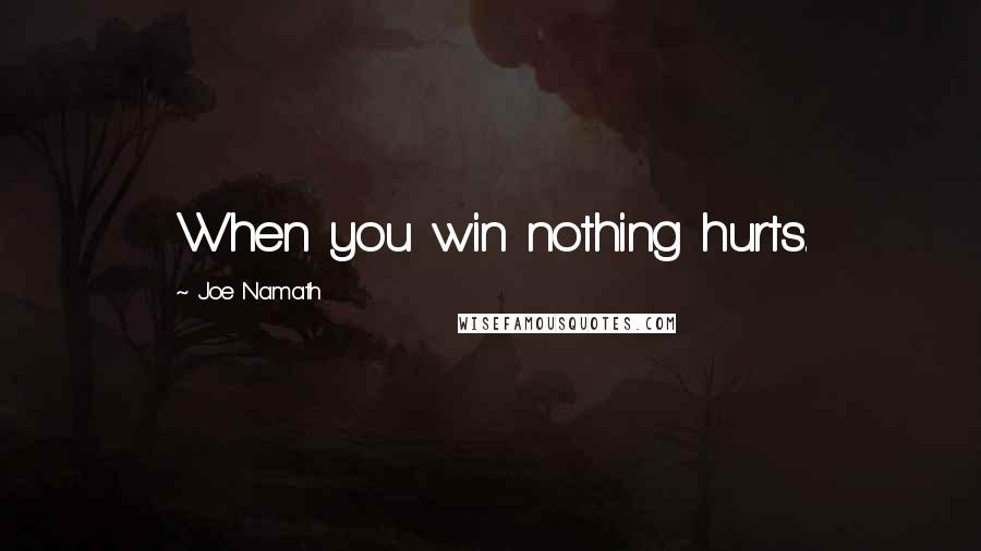 Joe Namath Quotes: When you win nothing hurts.