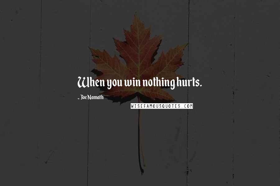 Joe Namath Quotes: When you win nothing hurts.