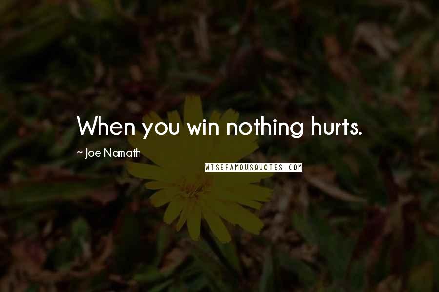 Joe Namath Quotes: When you win nothing hurts.