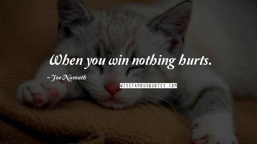 Joe Namath Quotes: When you win nothing hurts.