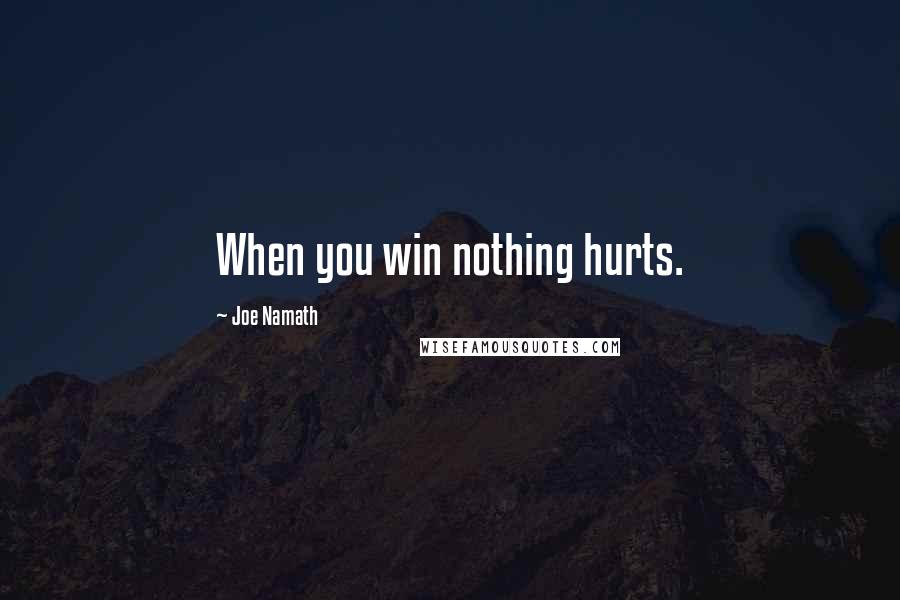 Joe Namath Quotes: When you win nothing hurts.