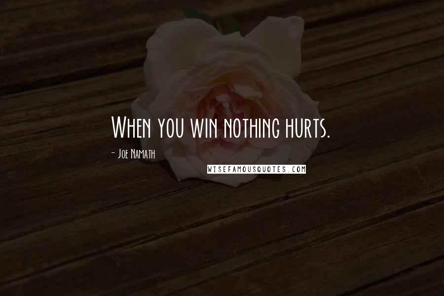 Joe Namath Quotes: When you win nothing hurts.