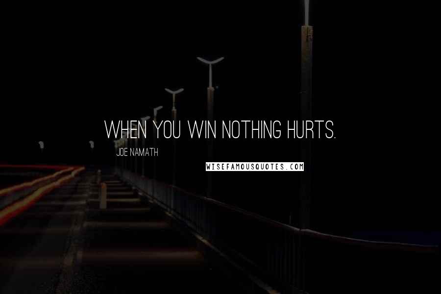 Joe Namath Quotes: When you win nothing hurts.