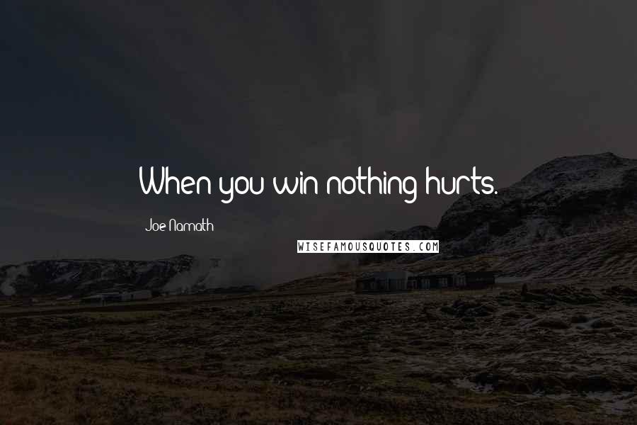 Joe Namath Quotes: When you win nothing hurts.