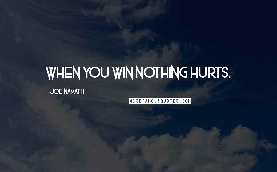 Joe Namath Quotes: When you win nothing hurts.