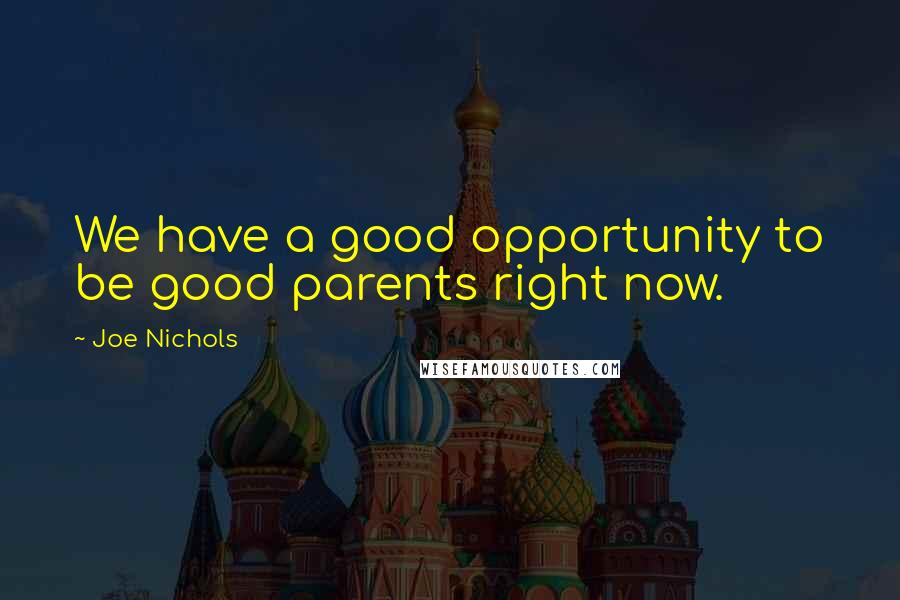 Joe Nichols Quotes: We have a good opportunity to be good parents right now.