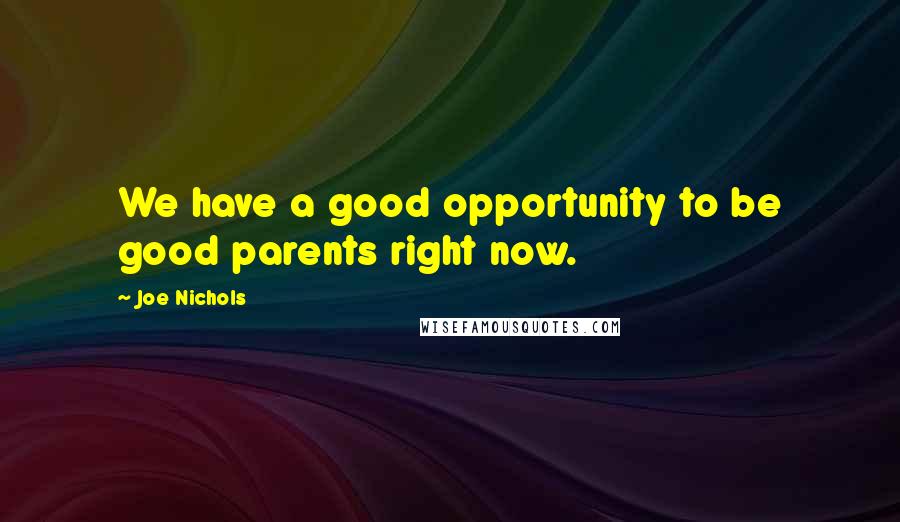 Joe Nichols Quotes: We have a good opportunity to be good parents right now.