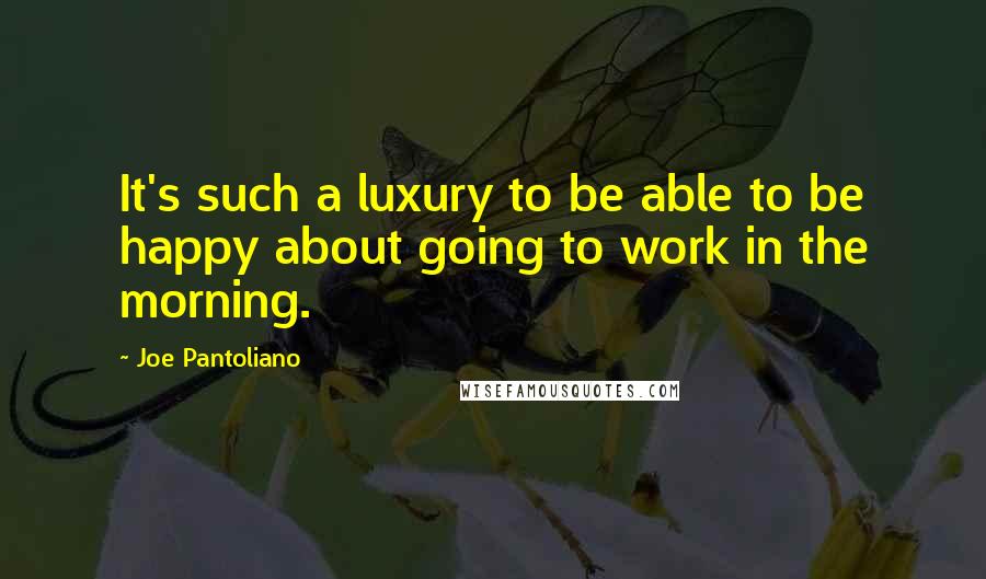 Joe Pantoliano Quotes: It's such a luxury to be able to be happy about going to work in the morning.