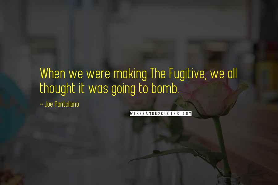 Joe Pantoliano Quotes: When we were making The Fugitive, we all thought it was going to bomb.