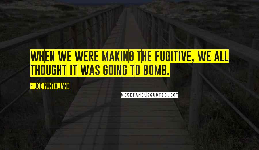 Joe Pantoliano Quotes: When we were making The Fugitive, we all thought it was going to bomb.