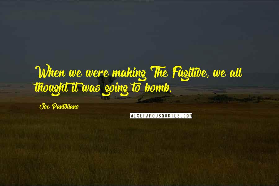 Joe Pantoliano Quotes: When we were making The Fugitive, we all thought it was going to bomb.