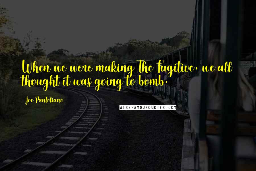Joe Pantoliano Quotes: When we were making The Fugitive, we all thought it was going to bomb.