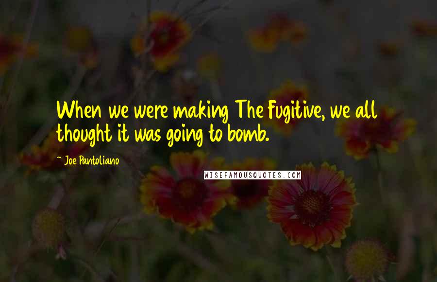 Joe Pantoliano Quotes: When we were making The Fugitive, we all thought it was going to bomb.