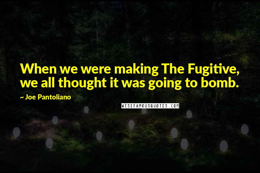 Joe Pantoliano Quotes: When we were making The Fugitive, we all thought it was going to bomb.