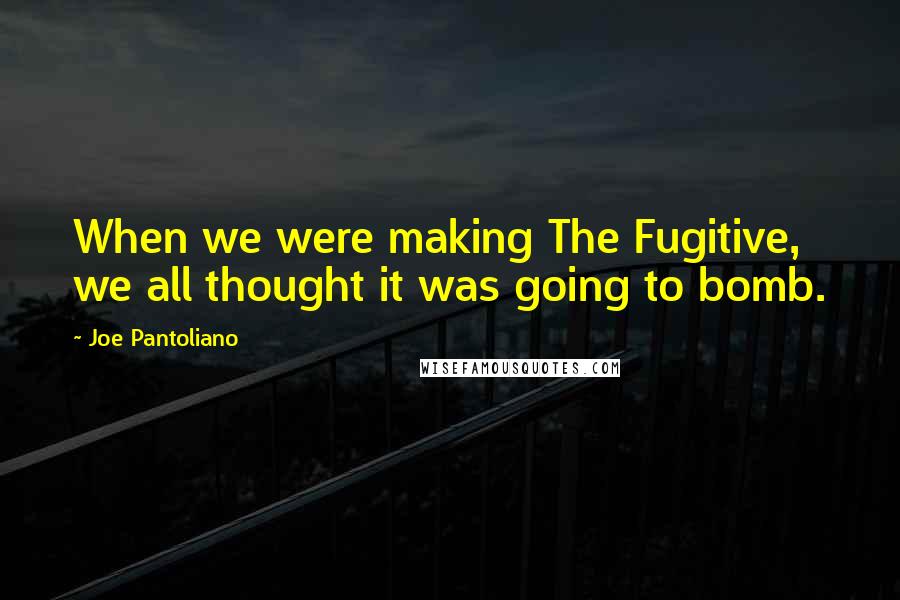 Joe Pantoliano Quotes: When we were making The Fugitive, we all thought it was going to bomb.