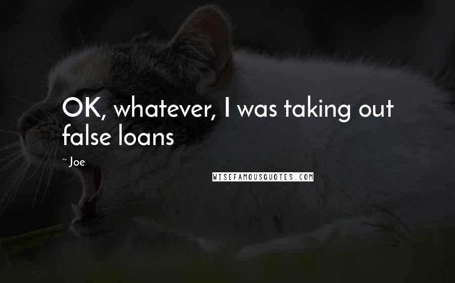 Joe Quotes: OK, whatever, I was taking out false loans