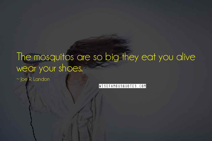 Joe R. Landon Quotes: The mosquitos are so big they eat you alive wear your shoes.