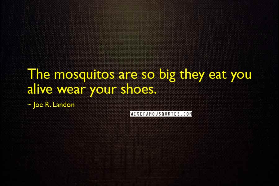 Joe R. Landon Quotes: The mosquitos are so big they eat you alive wear your shoes.