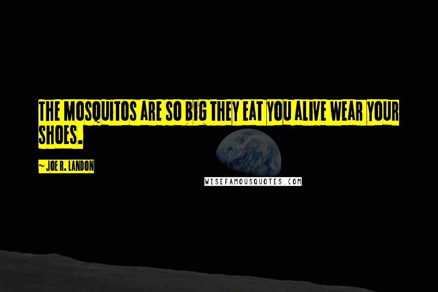 Joe R. Landon Quotes: The mosquitos are so big they eat you alive wear your shoes.