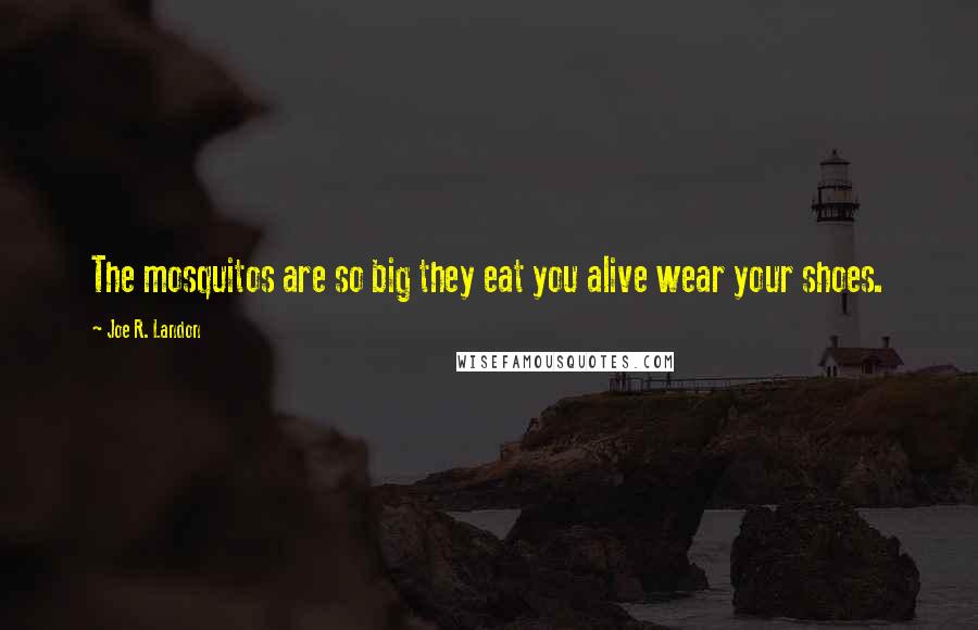 Joe R. Landon Quotes: The mosquitos are so big they eat you alive wear your shoes.